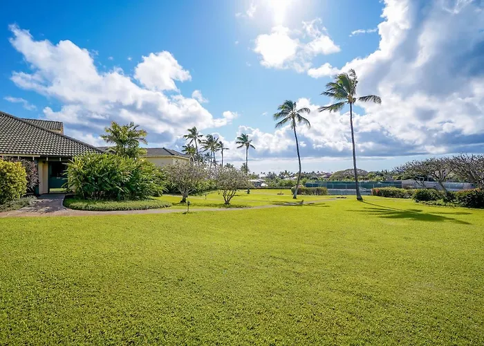 Manualoha 504
